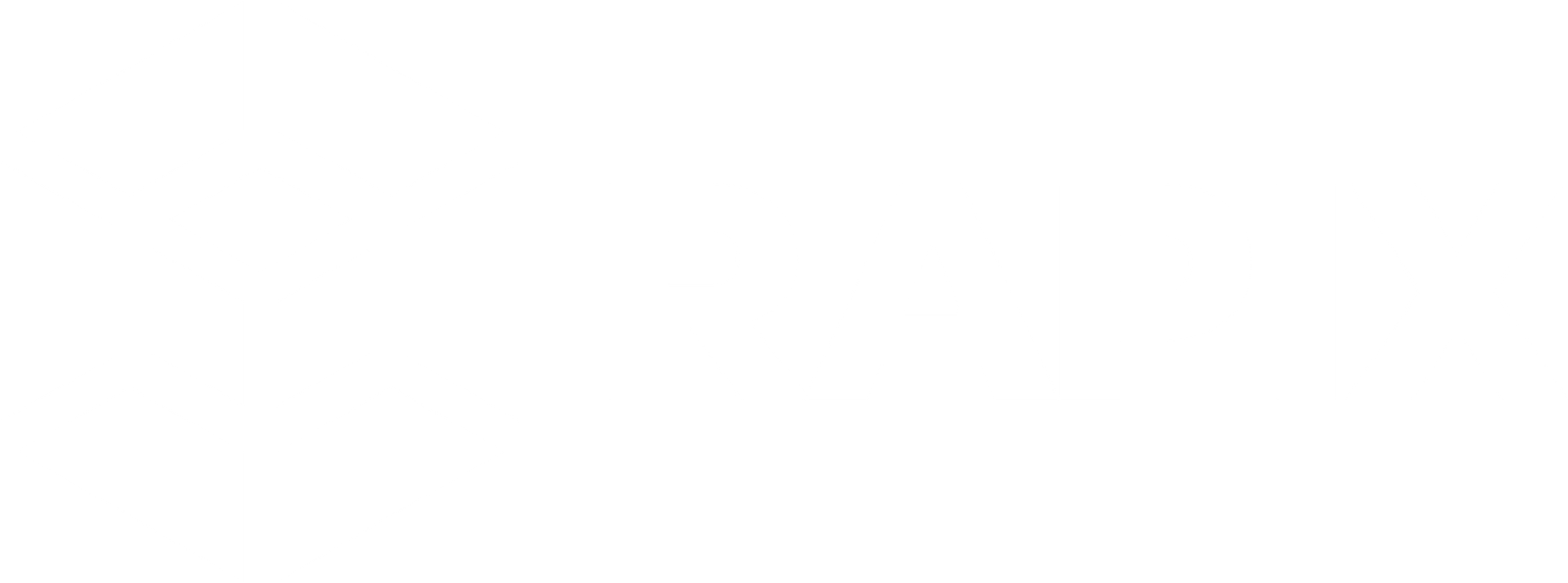 RAPIX